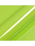 S5VACB - Vert Acacia Brillant